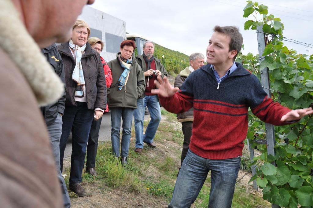 Wein- Und Gaestehaus Genetsch ลีเซอร์ ภายนอก รูปภาพ