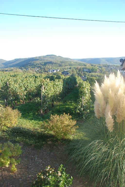 Wein- Und Gaestehaus Genetsch ลีเซอร์ ภายนอก รูปภาพ