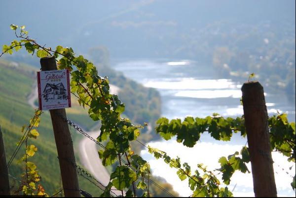 Wein- Und Gaestehaus Genetsch ลีเซอร์ ภายนอก รูปภาพ