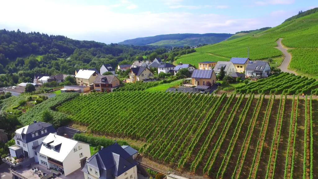 Wein- Und Gaestehaus Genetsch ลีเซอร์ ภายนอก รูปภาพ