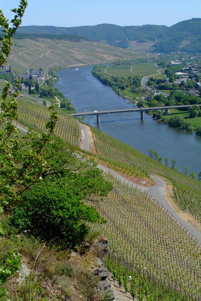 Wein- Und Gaestehaus Genetsch ลีเซอร์ ภายนอก รูปภาพ