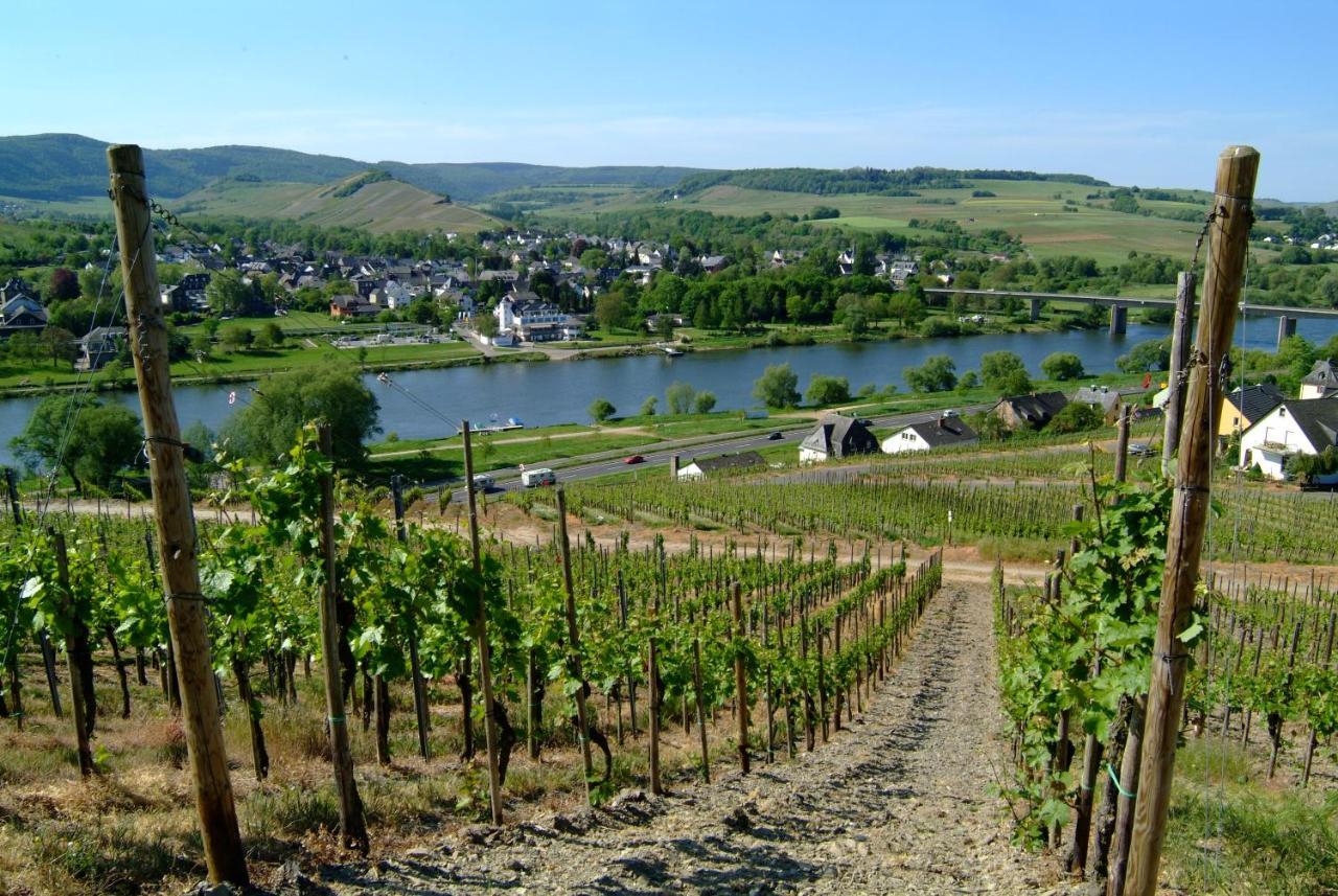 Wein- Und Gaestehaus Genetsch ลีเซอร์ ภายนอก รูปภาพ