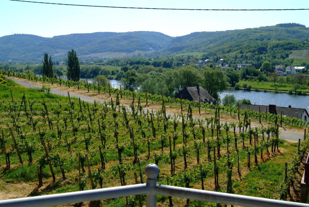 Wein- Und Gaestehaus Genetsch ลีเซอร์ ภายนอก รูปภาพ