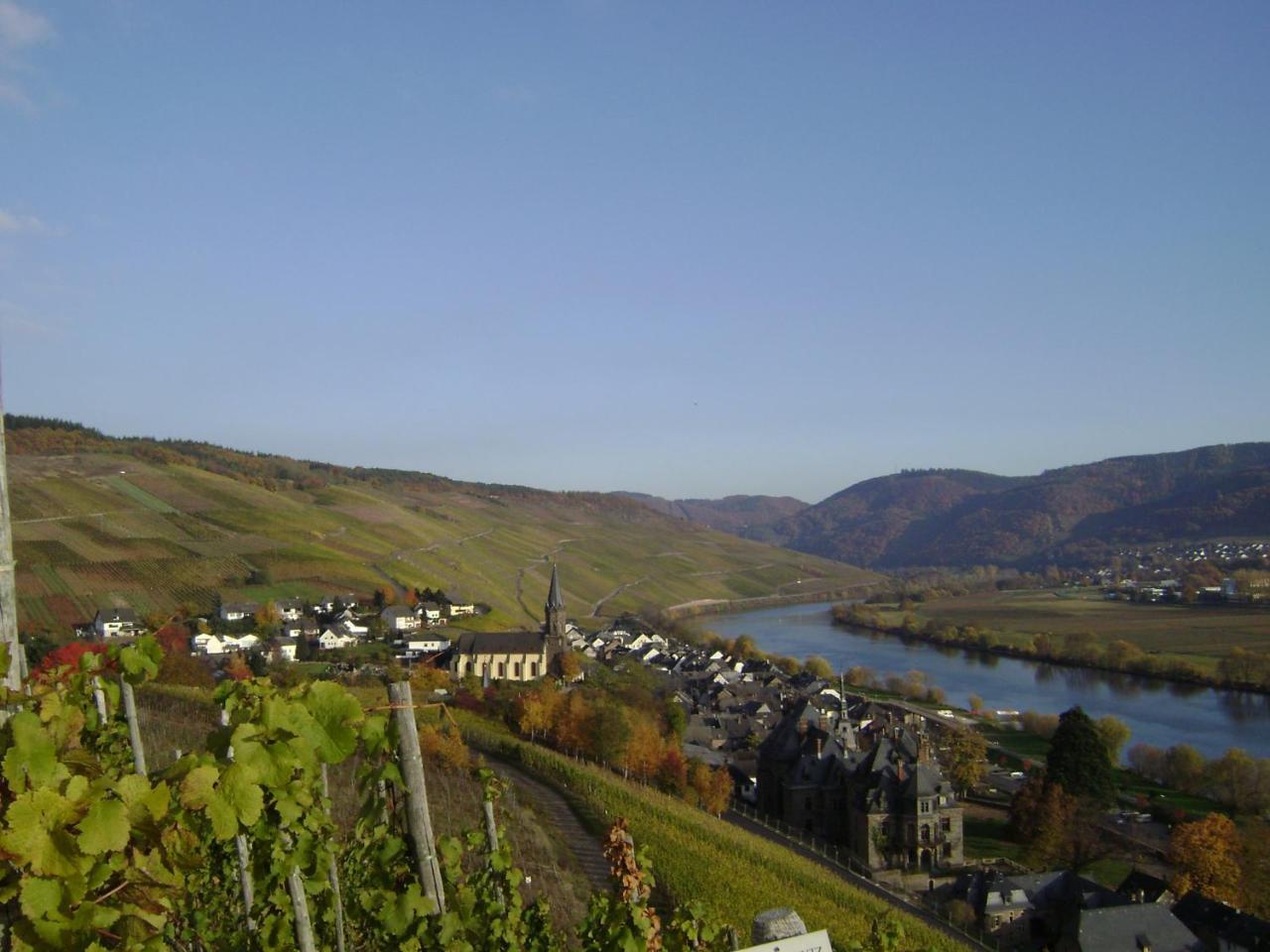 Wein- Und Gaestehaus Genetsch ลีเซอร์ ภายนอก รูปภาพ