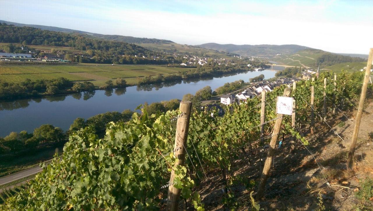 Wein- Und Gaestehaus Genetsch ลีเซอร์ ภายนอก รูปภาพ