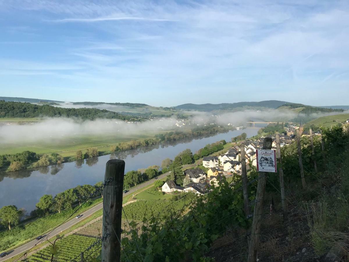 Wein- Und Gaestehaus Genetsch ลีเซอร์ ภายนอก รูปภาพ